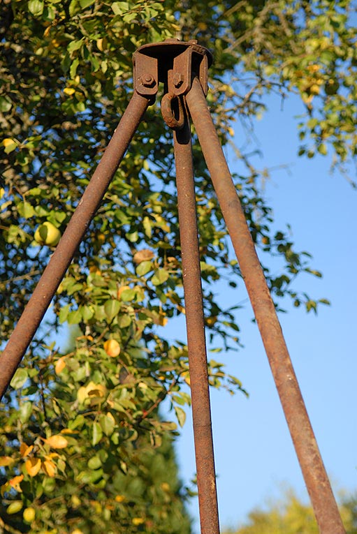 Trépieds girafe